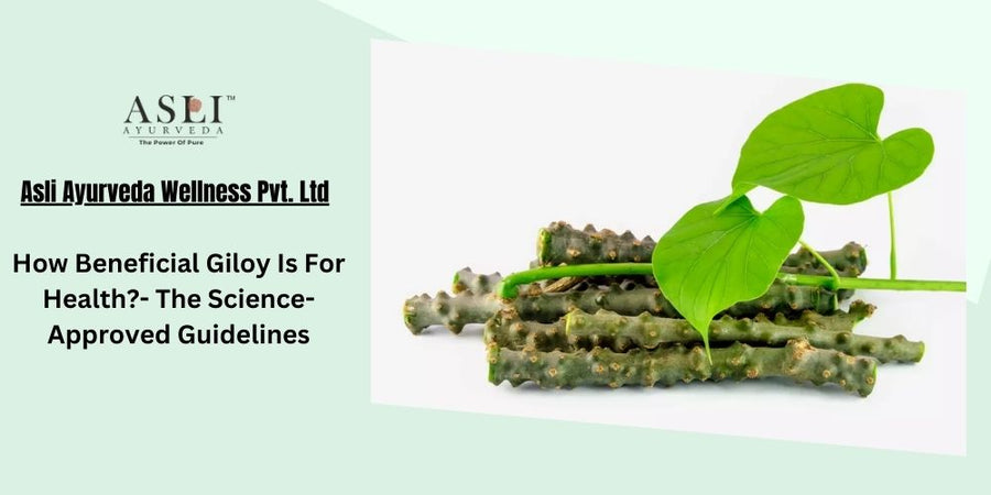 How Beneficial Giloy Is For Health?- The Science-Approved Guidelines