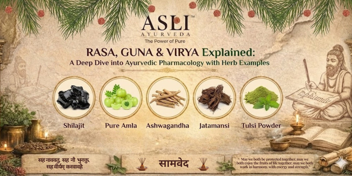 Rasa, Guna & Virya Explained: A Deep Dive into Ayurvedic Pharmacology with Herb Examples – ASLI AYURVEDA