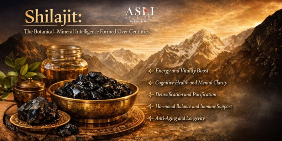 Shilajit: The Botanical–Mineral Intelligence Formed Over Centuries| Asli Ayurveda