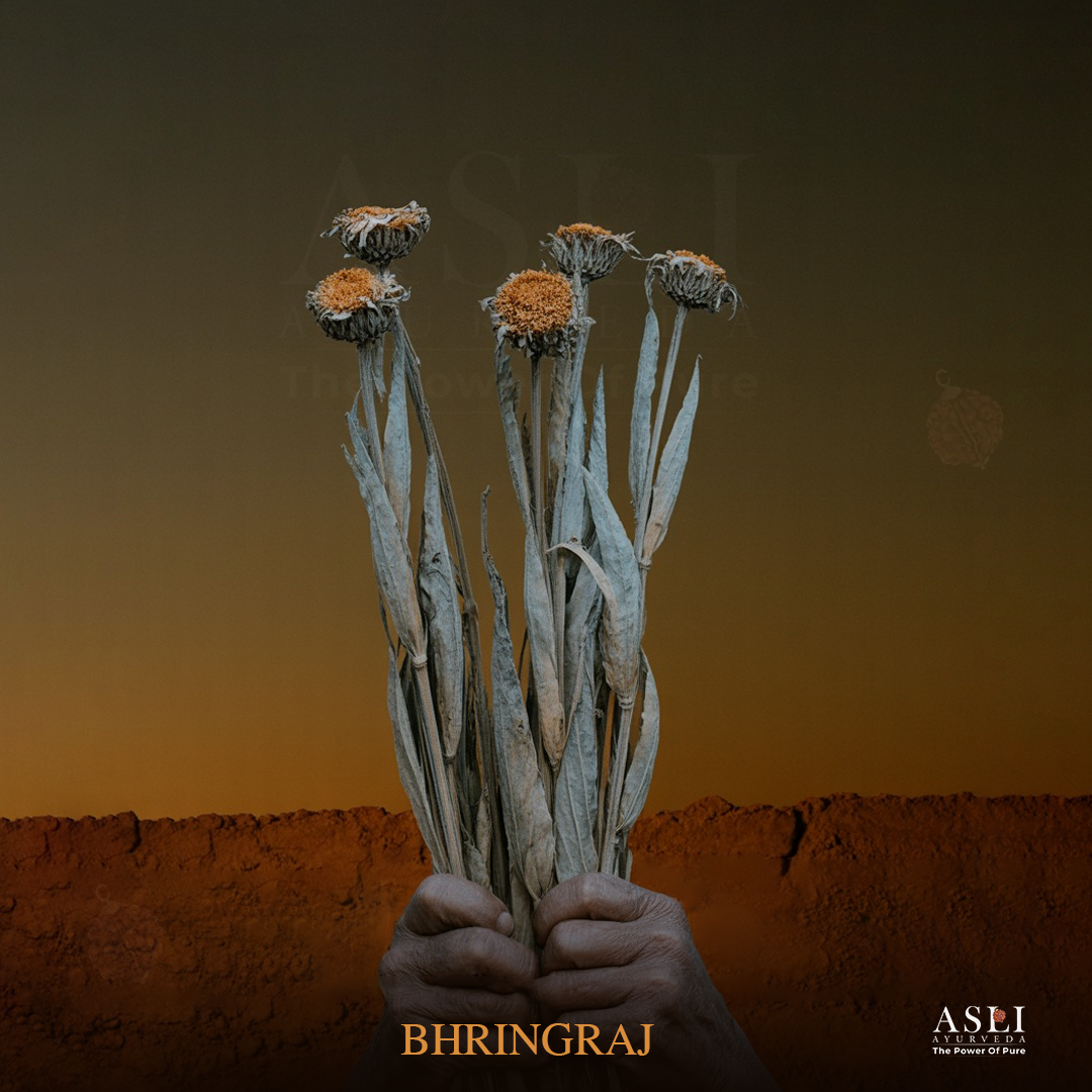 Bhringraj