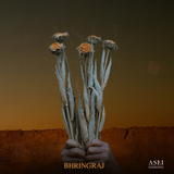Bhringraj