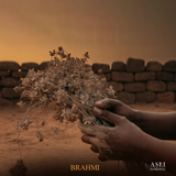 BRAHMI