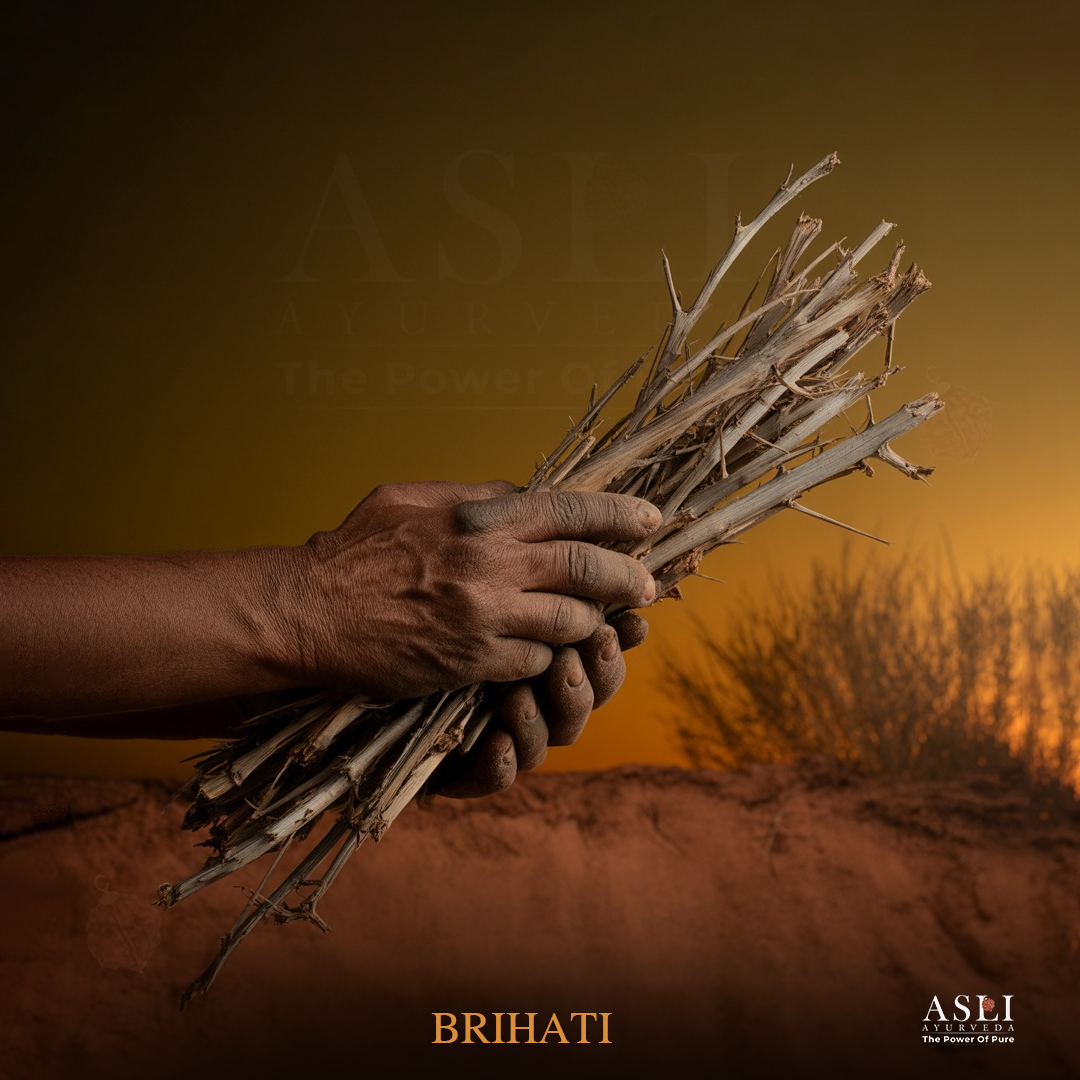 BRIHATI