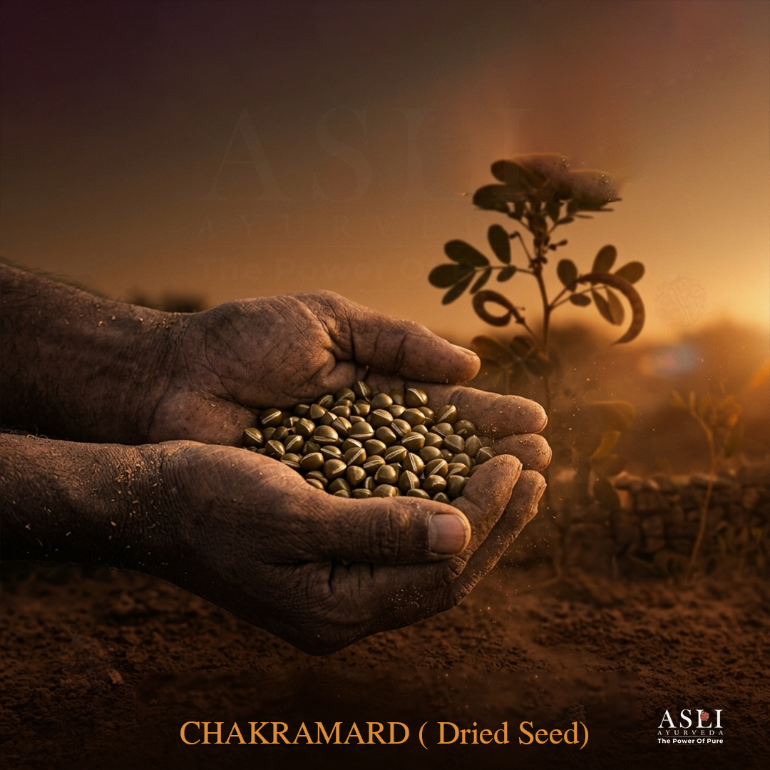 CHAKRAMARDA