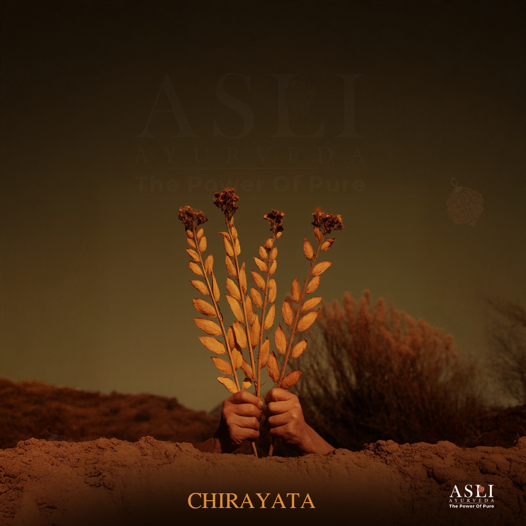 CHIRAYATA