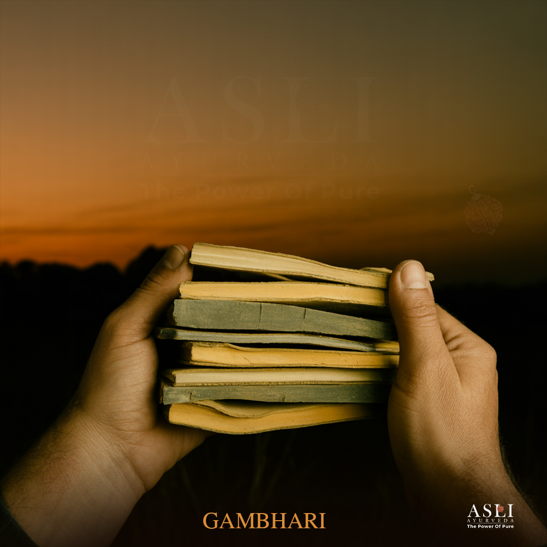 GAMBHARI