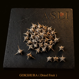GOKSHURA