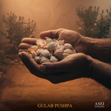 GULAB PUSHPA