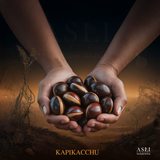 KAPIKACCHU
