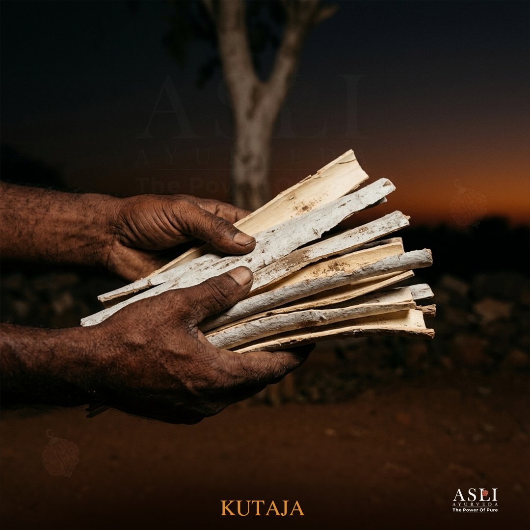 Kutaja