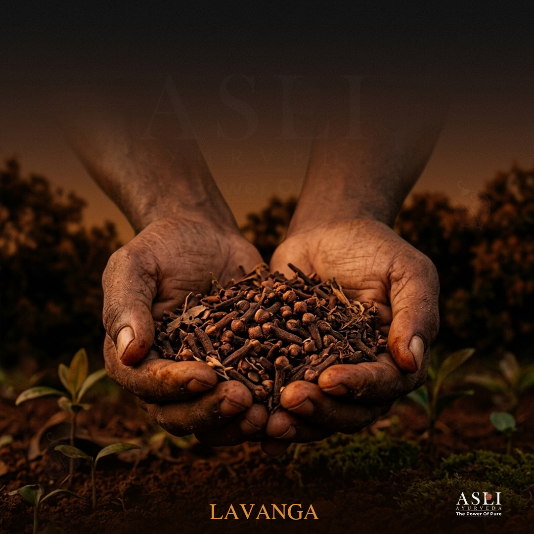 LAVANGA