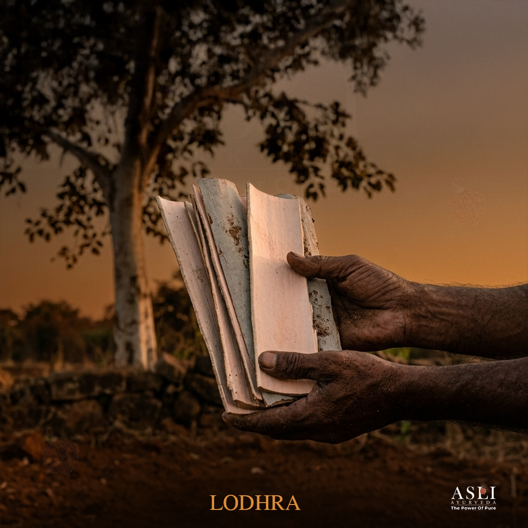 Lodhra