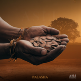 PALASHA