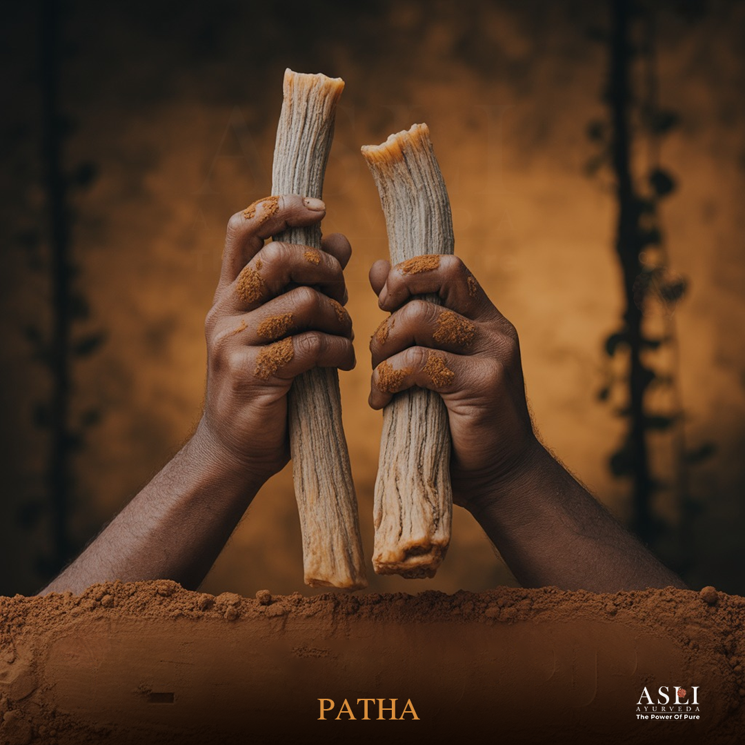 PATHA
