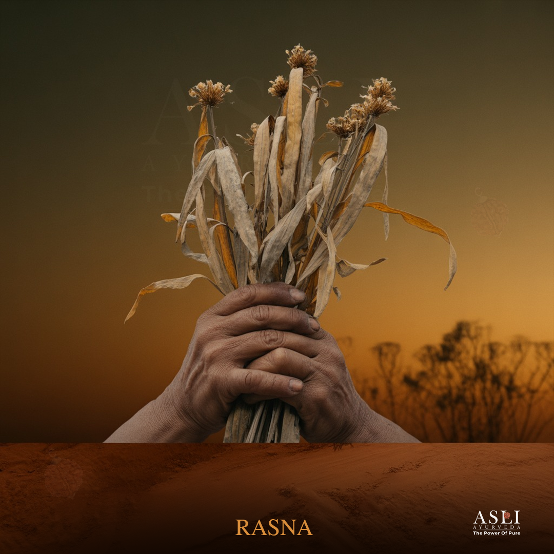 RASNA