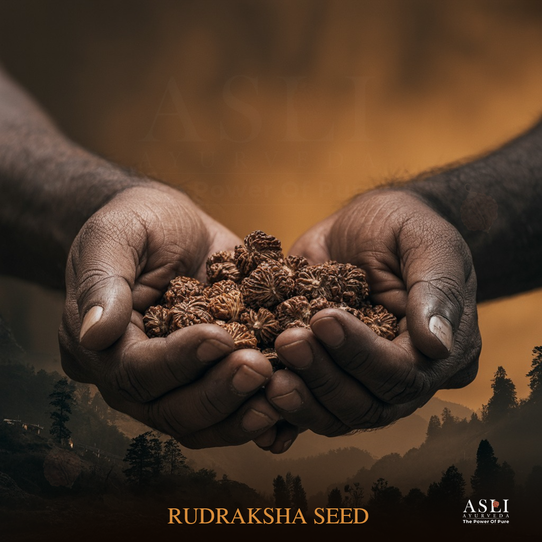 RUDRAKSHA