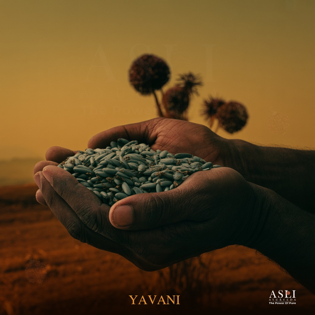 YAVANI